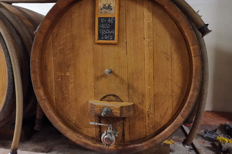 Winery & Vineyard Tour with Guided Tasting near Pisa Wine Tour in English