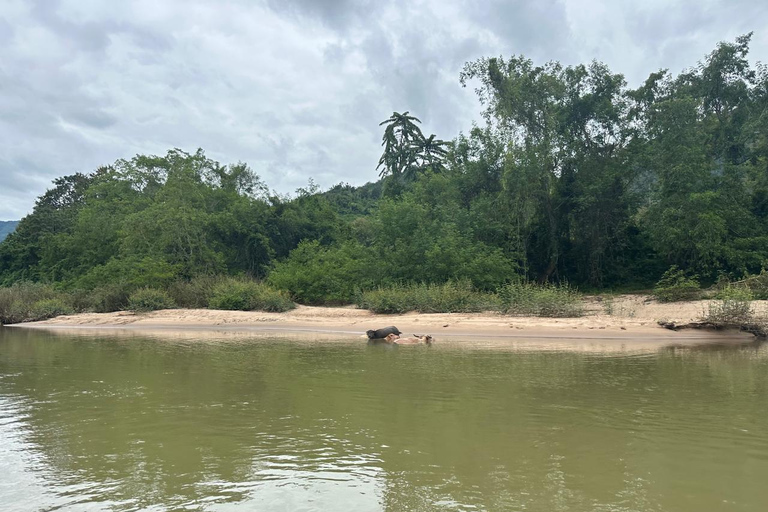 Luang Prabang to Nong Khiaw 3-Day Trekking & Camping,Homstay