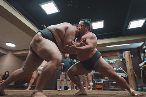 Tokyo: Sumo Keiko Training Tour with Audio Guide & Photo 90mins Sumo Afternoon Training at 3PM - Standard