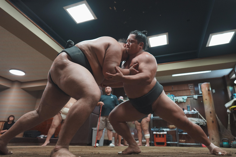 Tokyo: Sumo Keiko Training Tour with Audio Guide & Photo 90mins Sumo Afternoon Training at 3PM - Standard