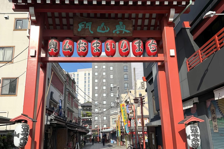 Tokyo Prestige: Luxury Chauffeur Tour with Private Guide 10 Hours Customized Tokyo Tour in Luxury Alford or Vellfire
