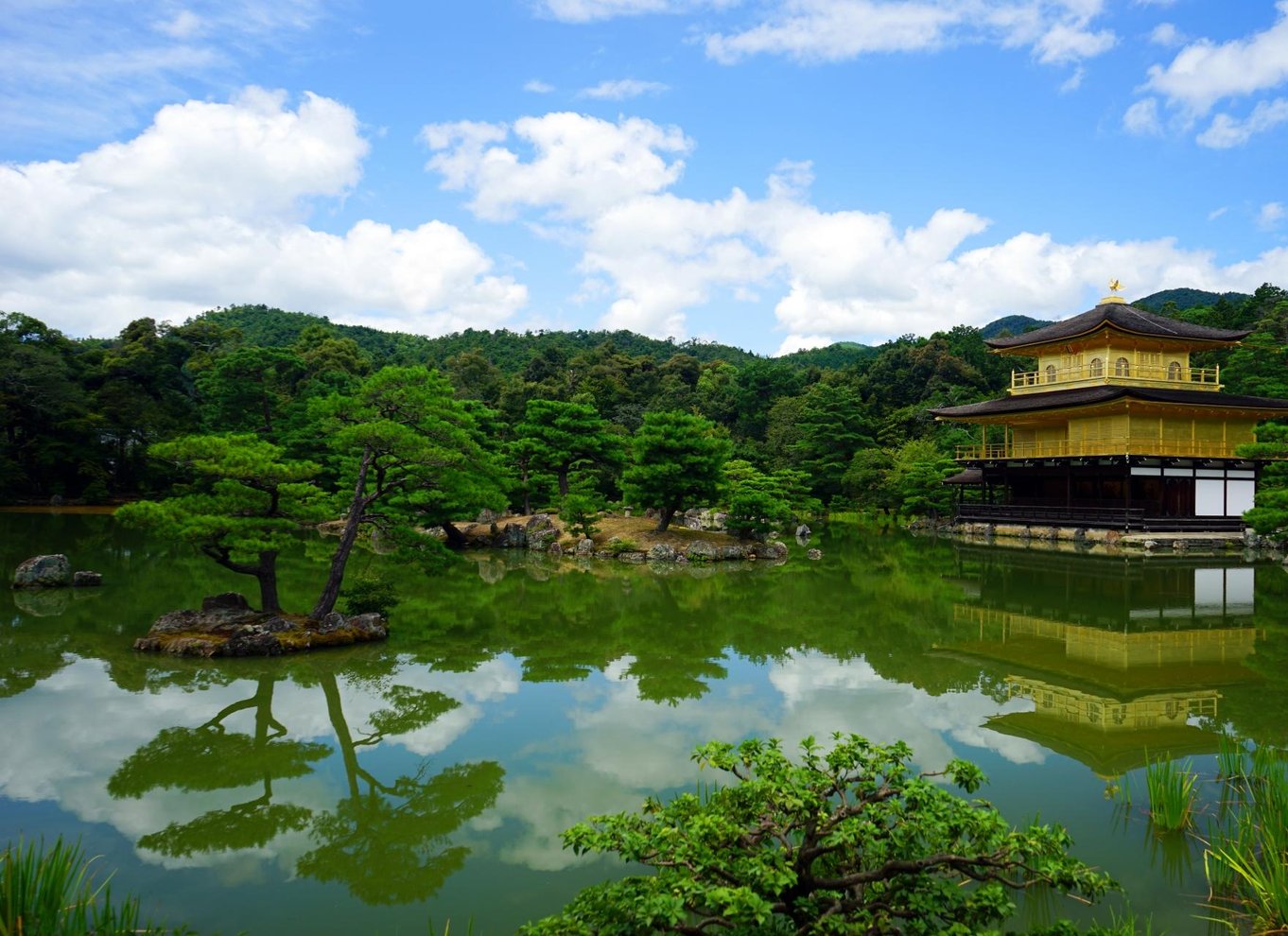 Fra Osaka/Kyoto: Kyoto og Nara 1-dags guidet tur