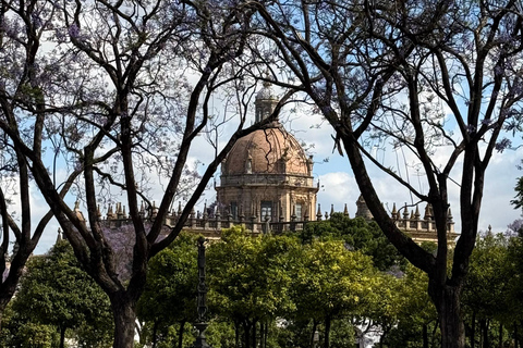 Jerez de la Frontera: Historical Sightseeing Tour, Winery Tour, and Wine Tasting
