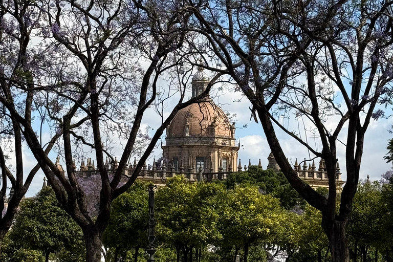 Jerez de la Frontera: Historical Sightseeing Tour, Winery Tour, and Wine Tasting