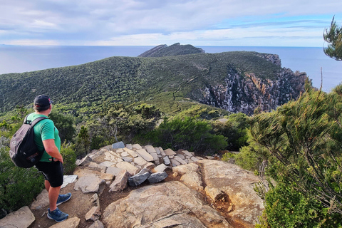 Hobart: Cape Hauy Hike an Active Adventure