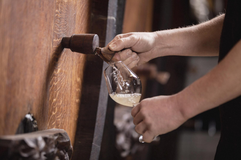 Discover the Alsace Vineyards around Colmar Decode the Vignoble d'Alsace in Orschwihr
