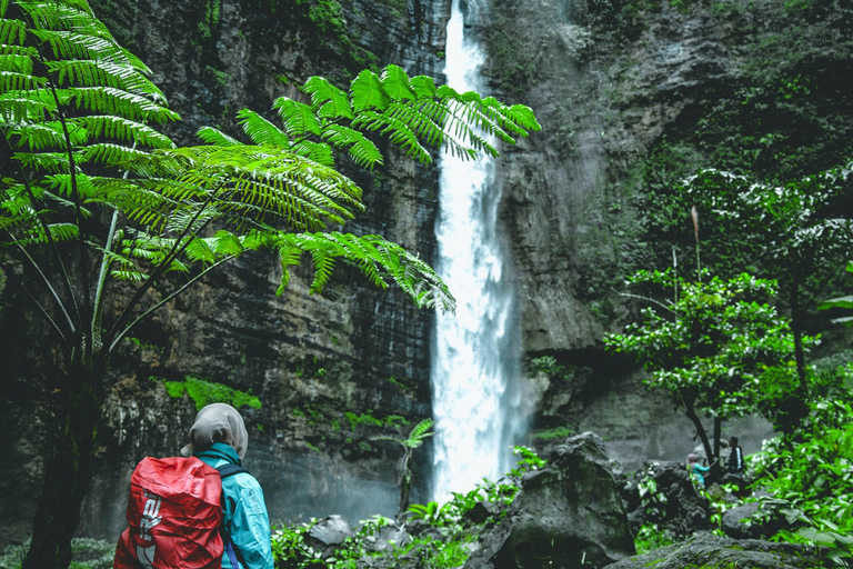 2-dniowa wycieczka na Sri Lankę: 3 niesamowite parki narodowe + safari nad rzeką