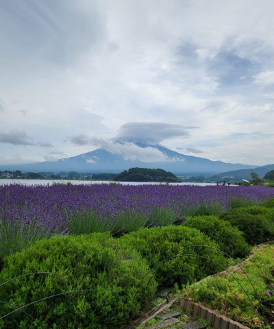 Visit One Day Private Tour of Mount Fuji in Mt. Fuji