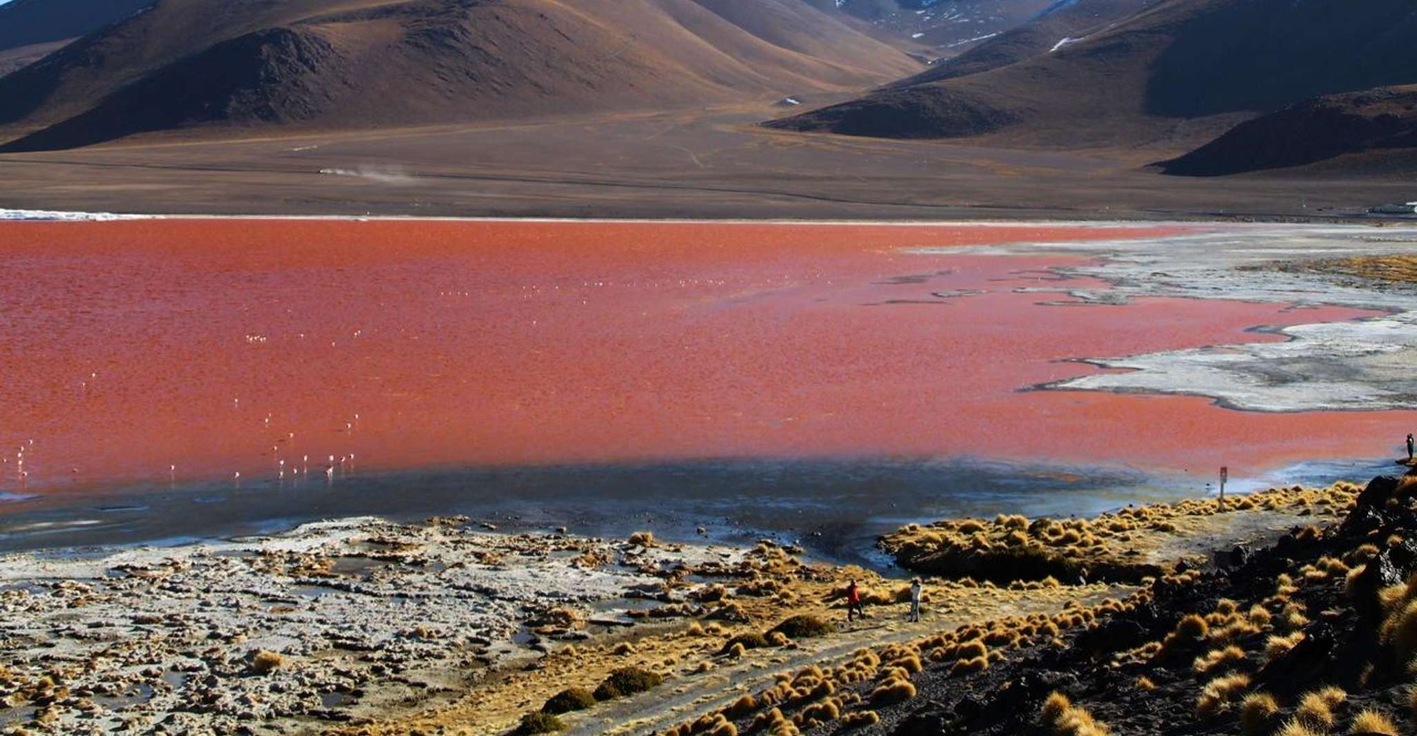 Uyuni Salt Flats und Red Lagoon 3-Tage - Englisch im Guide - Hizvo