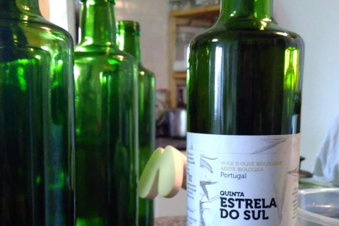 Trancoso: Tour ecologico della fattoria con degustazione