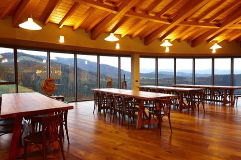 Gernika: Vineyard, Winery Tour, Txakolis & Basque Pairings