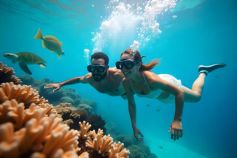 Sharm El Sheikh : Excursion de plongée en apnée à l&#039;île de Tiran avec déjeuner