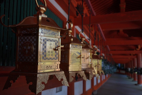 Visite de Nara pour les lève-tôt (départ de la gare de Kyoto)Tour de Nara pour les lève-tôt (option de départ de Kyoto disponible)