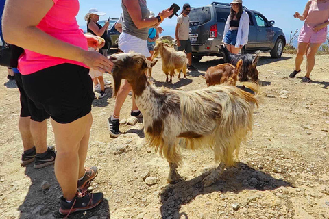 Malia: Lasithi Plateau Zeus Cave Guided TourMalia: Laisithi Plateau Zeus Cave Guided Tour