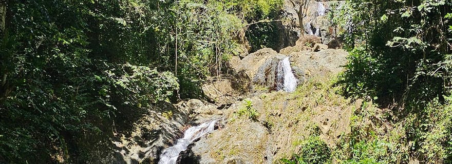 Tobago : Visite d'une demi-journée de la côte atlantique avec transfert