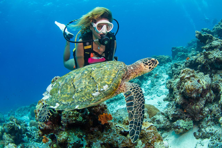 Gili Meno: Discover Scuba Diving for the first time