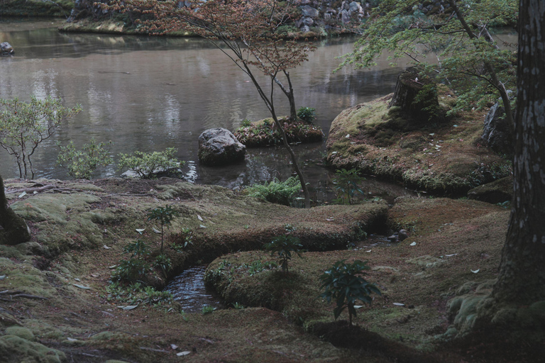 Kyoto Customisable Private Tour with a Local Guide