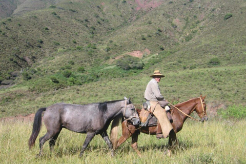 Salta: Full-Day Horseback Ride with Mountain Picnic
