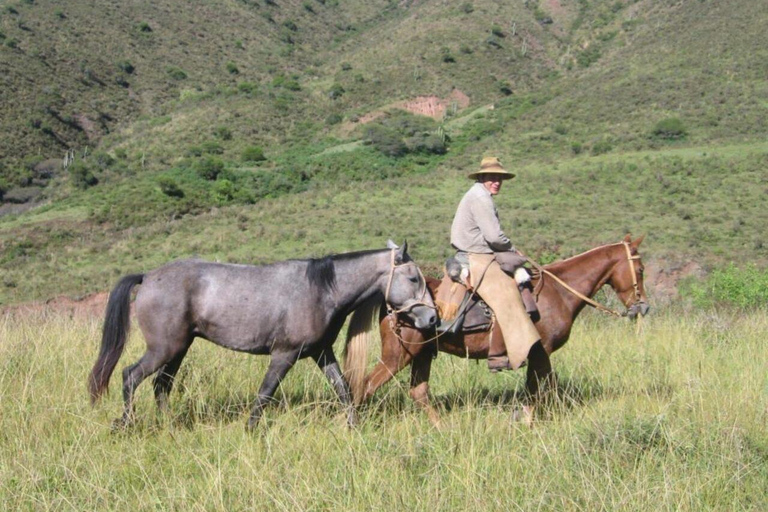 Salta: Full-Day Horseback Ride with Mountain Picnic