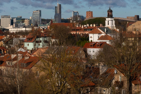 Wilno: Prywatna półdniowa wycieczka po mieście minivanem