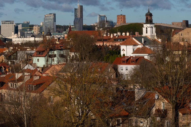 Vilnius: Privé stadsrondleiding van een halve dag met een minibusje