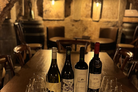 Tasting of 4 wines from 4 wineries & empanadas in Montevideo