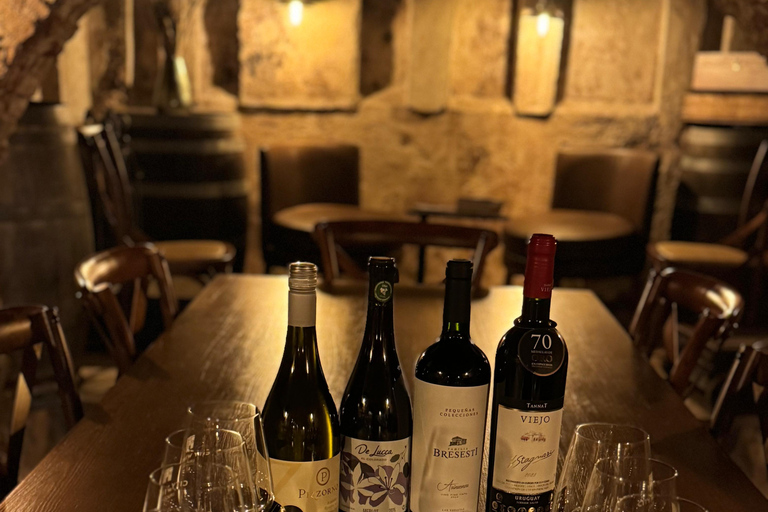 Tasting of 4 wines from 4 wineries & empanadas in Montevideo