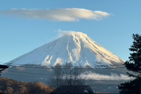 Z Tokio: Prywatna 1-dniowa wycieczka na górę Fuji i do Hakone