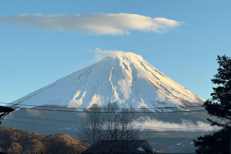 Depuis Tokyo : Excursion privée d&#039;une journée au Mont Fuji et à Hakone