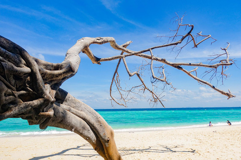 Depuis Phuket : Plongée en apnée et exploration à Bamboo et Phi Phi