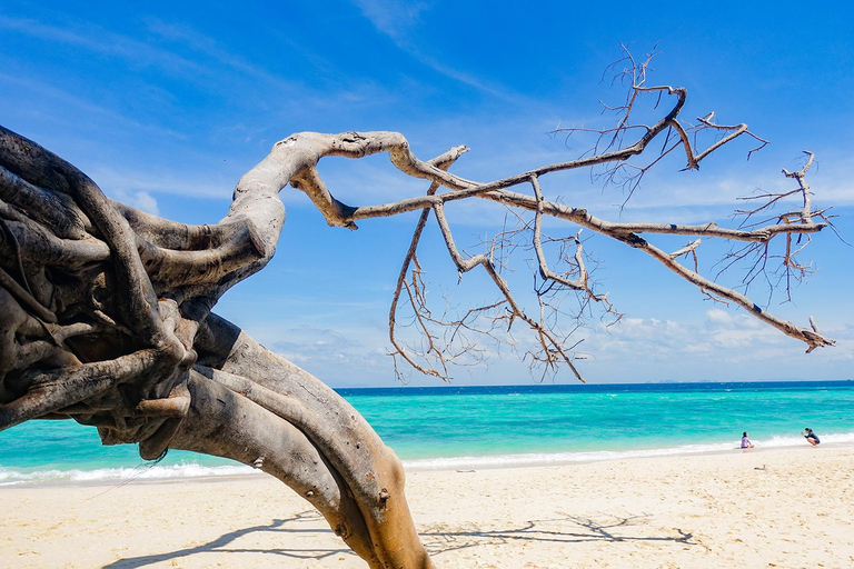 De Phuket: Mergulho preguiçoso com snorkel e exploração em Bamboo e Phi Phi