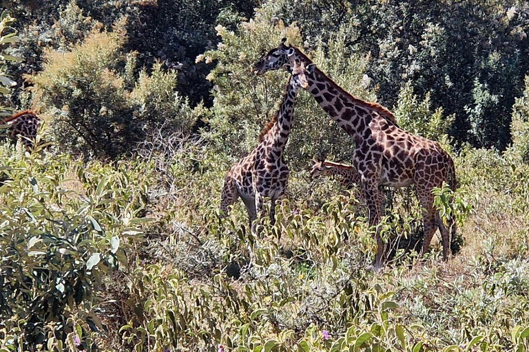 Nairobi: Hell's Gate National Park and Lake Naivasha Tour