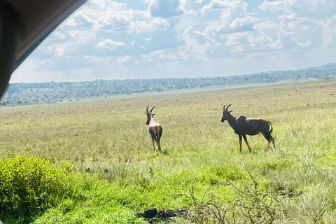Safari de 1 dia na vida selvagem de Akagera e passeio de barco1 dia de Safari pela vida selvagem em Akagera e passeio de barco