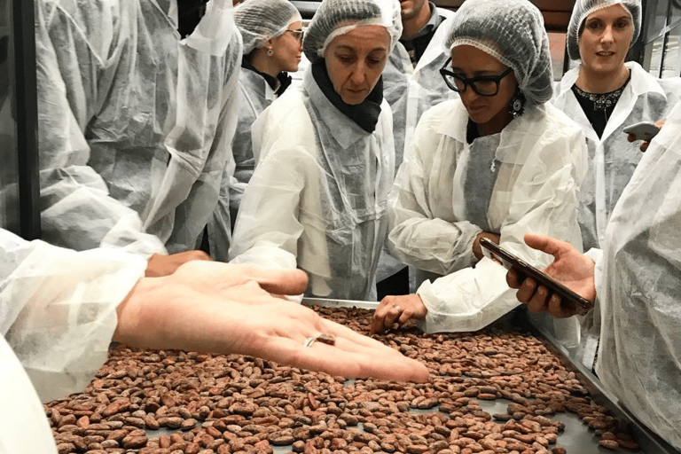 Chocolate Factory Tour & Tasting near Alessandria Chocolate Tour in Alessandria - English