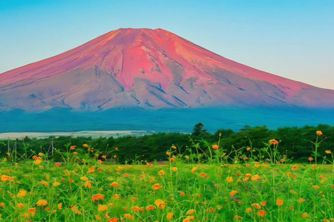 Tokyo: Full-day Tour of the Six Majestic Spots of Mt Fuji 8:00 AM Shinjuku West Exit, SMBC Meeting Point
