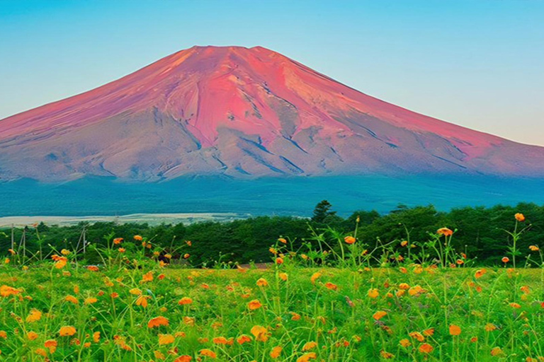 Tokyo: Full-day Tour of the Six Majestic Spots of Mt Fuji 8:00 AM Shinjuku West Exit, SMBC Meeting Point