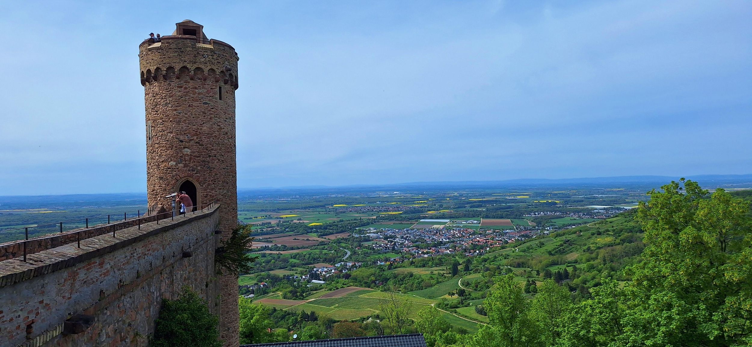 ab Heidelberg: 3 Burgentour an der Bergstraße