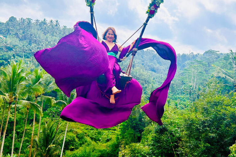 Ubud Waterfall, Temple, Rice Terrace & Art with Transfers