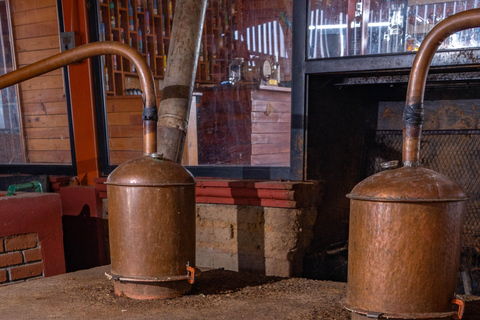 Oaxaca: Sustainable Mezcal Tour at an Award-Winning Family Distillery