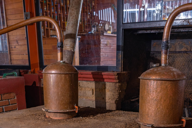 Oaxaca: Sustainable Mezcal Tour at an Award-Winning Family Distillery