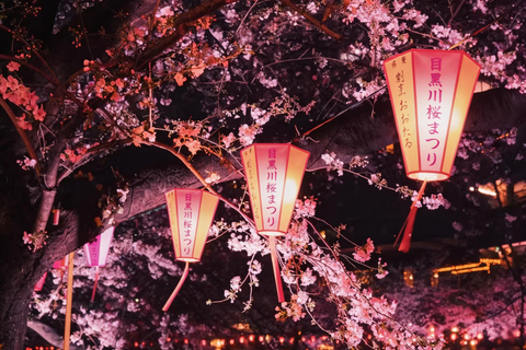 Tokyo: Sky Lunch, Ueno Cherry Blossom & Meguro Night Trip