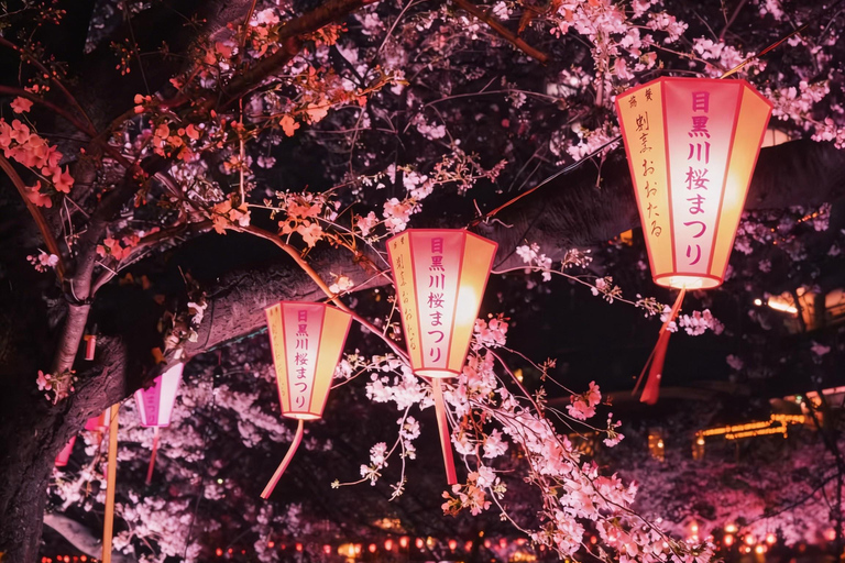 Tokyo: Sky Lunch, Ueno Cherry Blossom & Meguro Night Trip