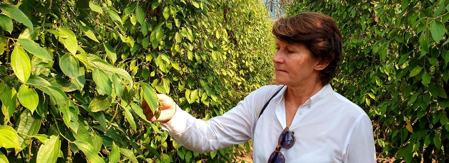 Depuis Phnom Penh : Excursion d'une journée à Kampot dans un endroit magnifique avec guide