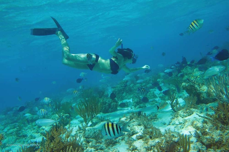 From Fajardo: Boat and Snorkeling in Culebra Island with All-Inclusive From Fajardo: All-Inclusive Snorkeling in Culebra