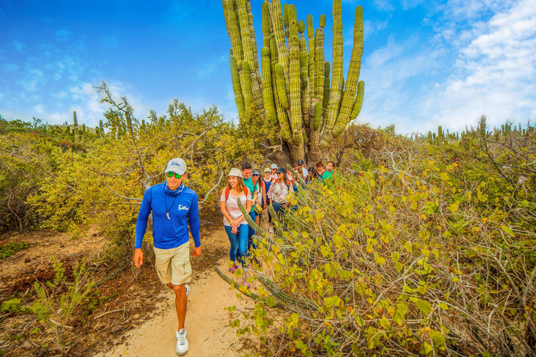 Cabo San Lucas: Camel Safari Tour with Lunch and Tequila