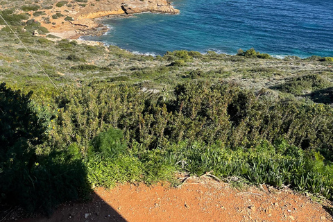 Privat tur till Cape Sounio och Atens Riviera med upphämtning