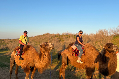 From Bukhara/Samarkand: 2-Day Aydarkul Lake & Yurt Camp Tour Private tour to Aydar Lake & Yurt from Bukhara to samarkand