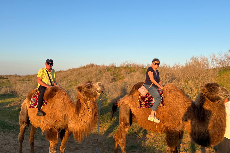 From Bukhara/Samarkand: 2-Day Aydarkul Lake & Yurt Camp Tour Private tour to Aydar Lake & Yurt from Bukhara to samarkand