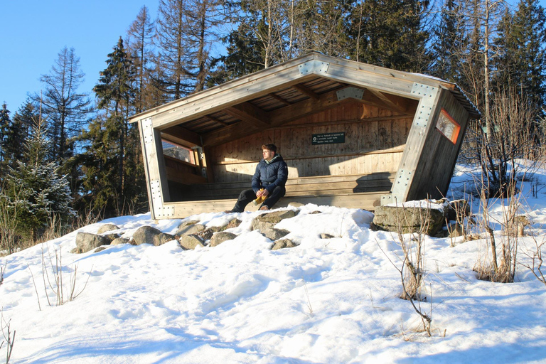 Panoramagipfel – Oslos beste Wanderung mit Blick auf die FjordePanoramische Gipfel – Oslos beste Wanderung mit Fjordblick