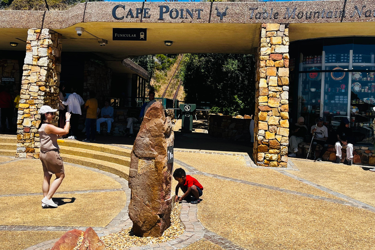 Robben Island, Penguins & Cape of Good Hope Adventure